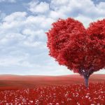 Lifestyle changes for heart patients